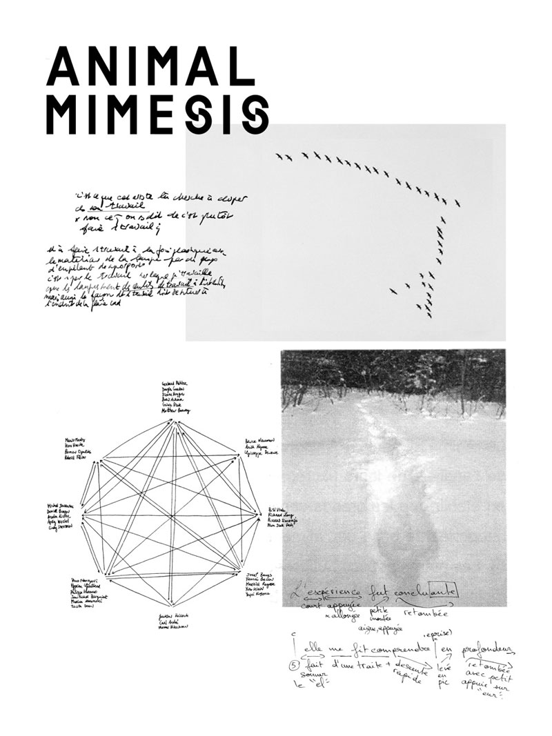 animal-mimesis VLochu