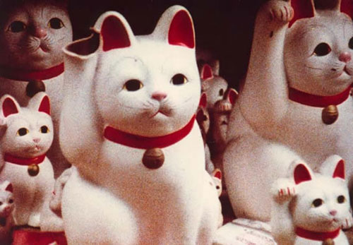 chris marker cats